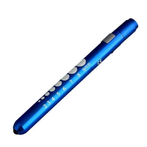 Screenshot 2026-08-17 123738 Doctors Pupil Torch - Blue - Image 1